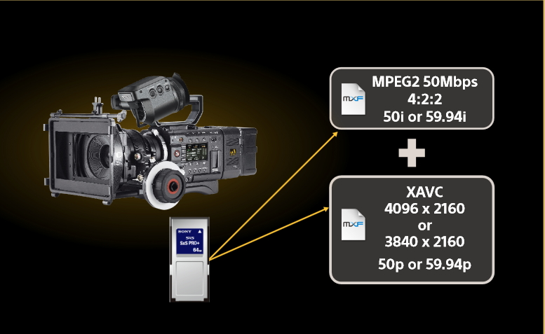 F5/F55_Simultaneous_recording